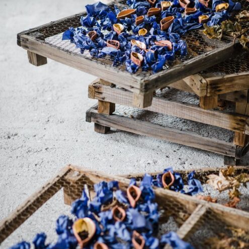 Φορτίο - Αγαλίς Μάνεσση (2019)