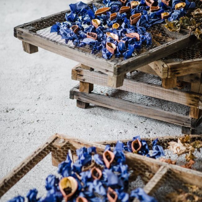 Φορτίο - Αγαλίς Μάνεσση (2019)